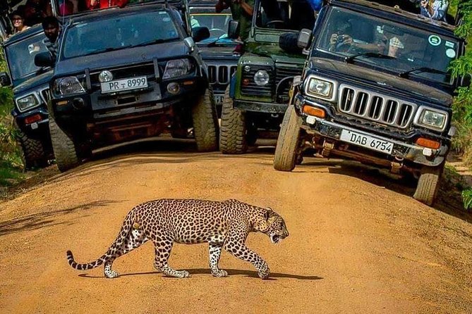 Sri Lanka Private Tour Package 9 Night 10 Day With Driver+Vehicle+Accommodations - Price and Availability