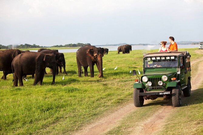 Sri Lanka; Professional Chauffeur Guide With Modern Vehicles - Pricing Structure and Offers