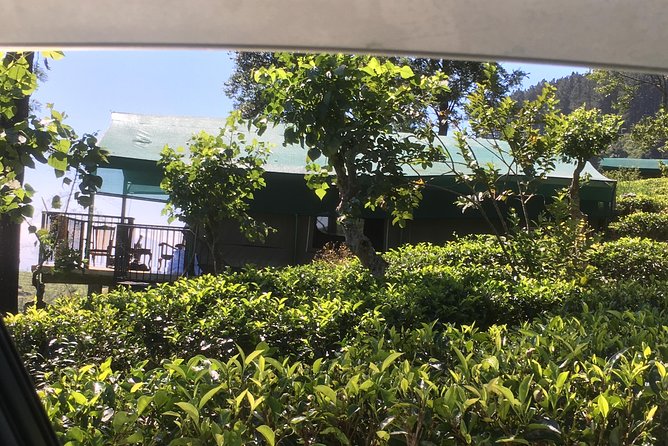 Sri Lanka Round Tour - Inclusions and Amenities