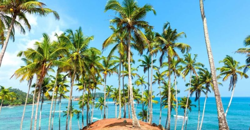 Sri Lanka: Sightseeing, Adventure, and Luxury Tours - Ancient Cities Exploration