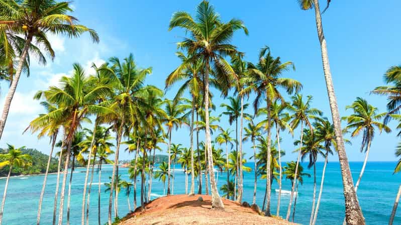 Sri Lanka: Sightseeing, Adventure, and Luxury Tours - Thrilling Outdoor Adventures