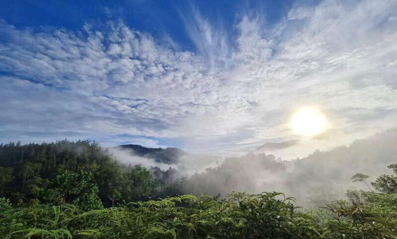 Sri Lanka : Sinharaja Rainforest Guided Trek with Pickup - An In-Depth Look at the Tour Experience