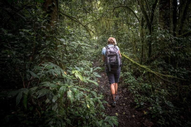 Sri Lanka: Sinharaja rainforest tour from Colombo, Bentota - Detailed Breakdown of the Experience