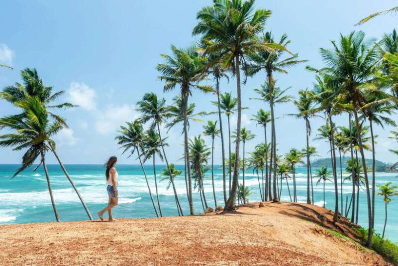Sri Lanka:2-day wildlife tour+Yala, Rekewa, Mirissa, Bentota - A Detailed Look at the 2-Day Sri Lanka Wildlife Tour