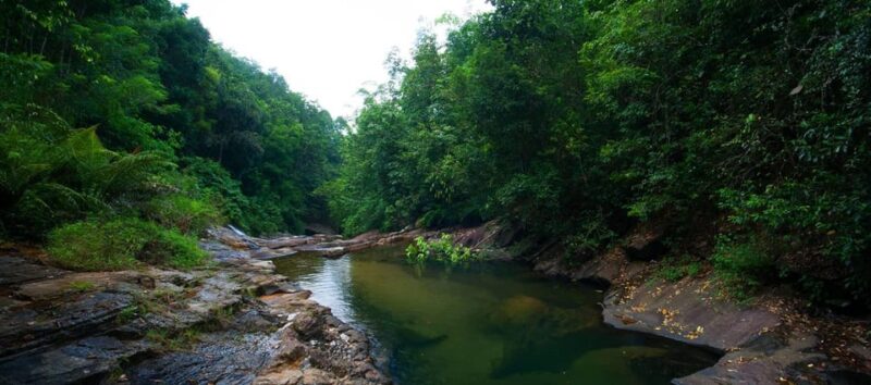 Srilanka, Kitulgala: Day Tour With Airport Transfer - Good To Know