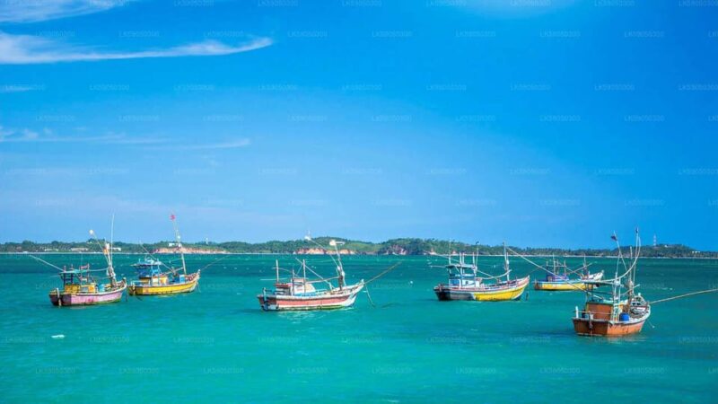 Srilanka, Negombo: Day Tour With Airport Transfer - Relax at Negombo Beach