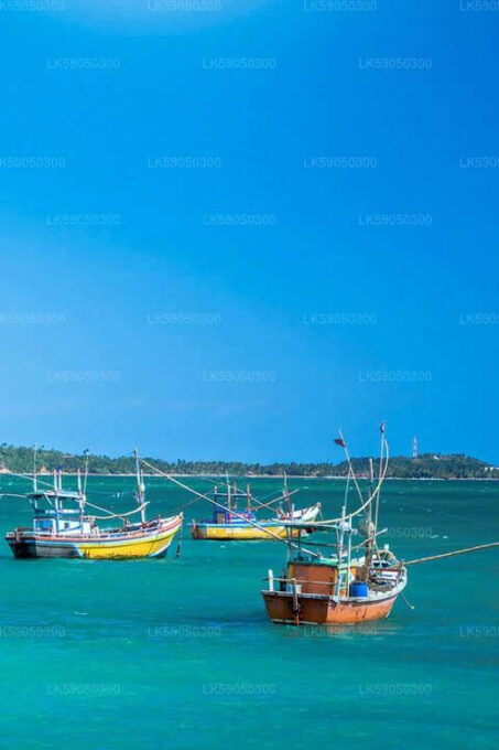 Srilanka, Negombo: Day Tour With Airport Transfer - Transportation and Guidance