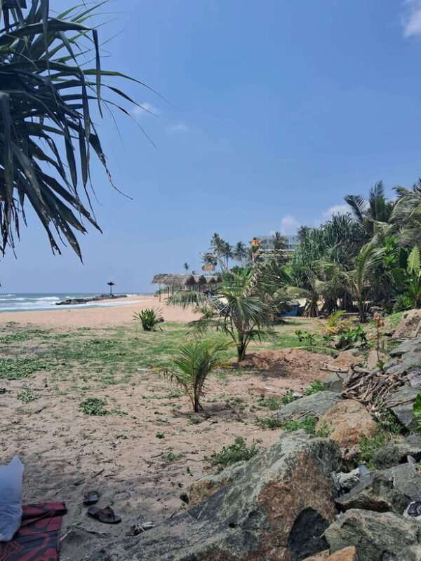 SriLanka Private Tour: 6Days 5Nights Adventure, Culture&more - An In-Depth Look at the Itinerary