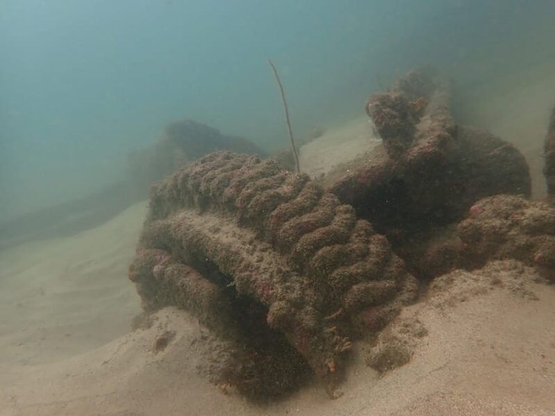 SSI Fun Dive at Grande Island - Safety and Restrictions