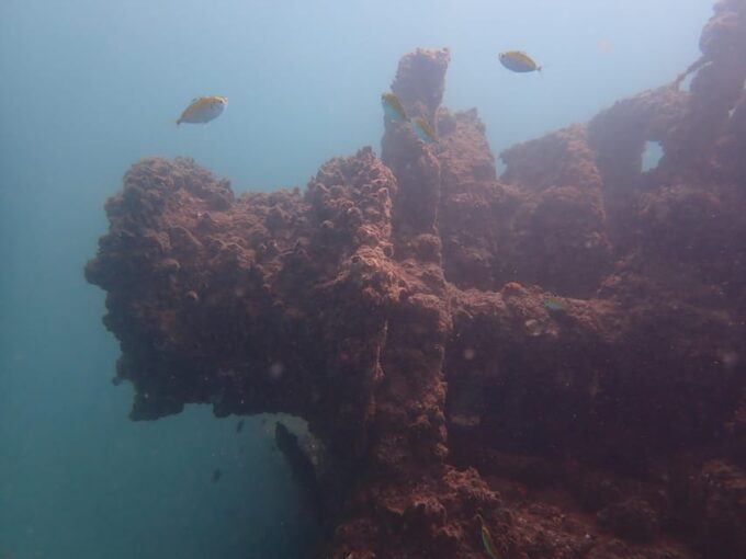 SSI Fun Dive at Grande Island - Additional Activities on Grande Island