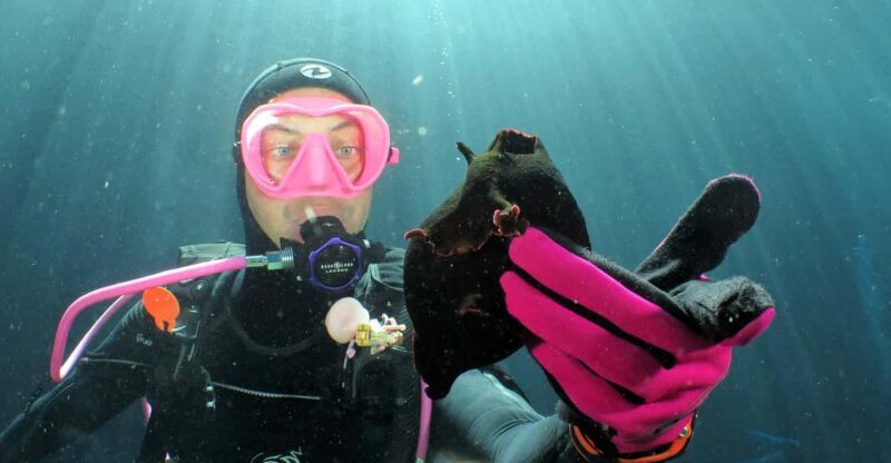 SSI Try Scuba Diving in the sea - What’s Included and What’s Not