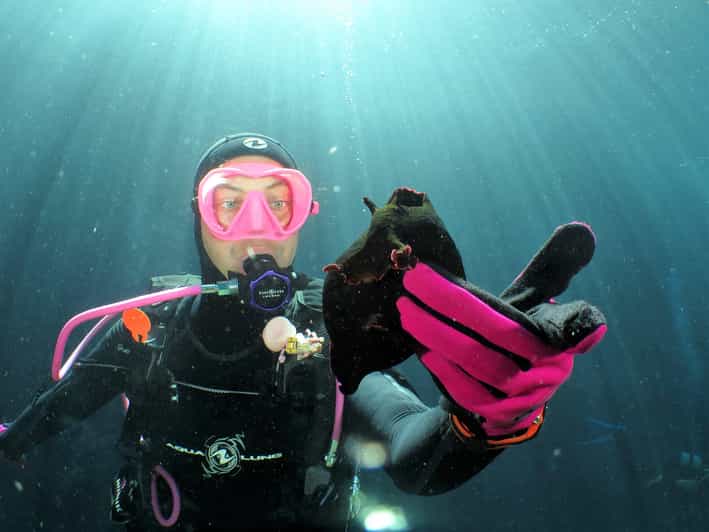 SSI Try Scuba Diving in the Sea - Good To Know