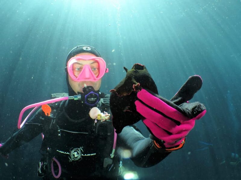 SSI Try Scuba Diving in the Sea - Equipment Provided for Diving
