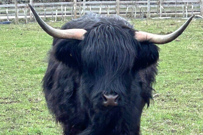 St Andrews & Fishing Villages of Fife Private Tour from Glasgow - FAQs