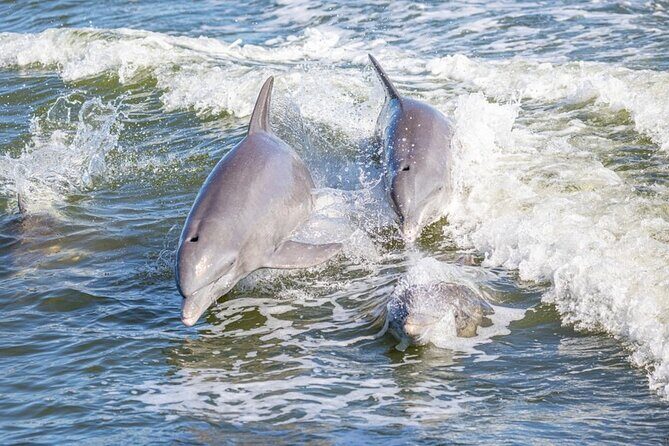 St. Andrews State Park Sunset Cruise - An In-Depth Look at the Sunset Cruise Experience