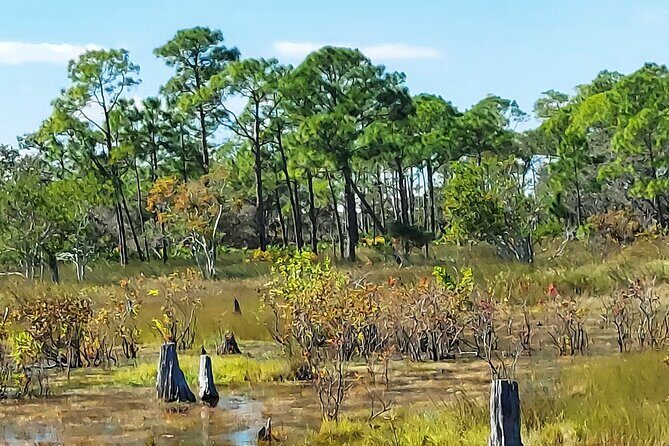 St. Andrews State Park Sunset Cruise - Frequently Asked Questions