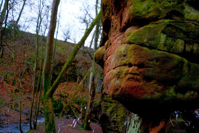 St Andrews, Villages and Coastal Charm: Private Land Rover Tour - Authentic Experiences & Hidden Gems