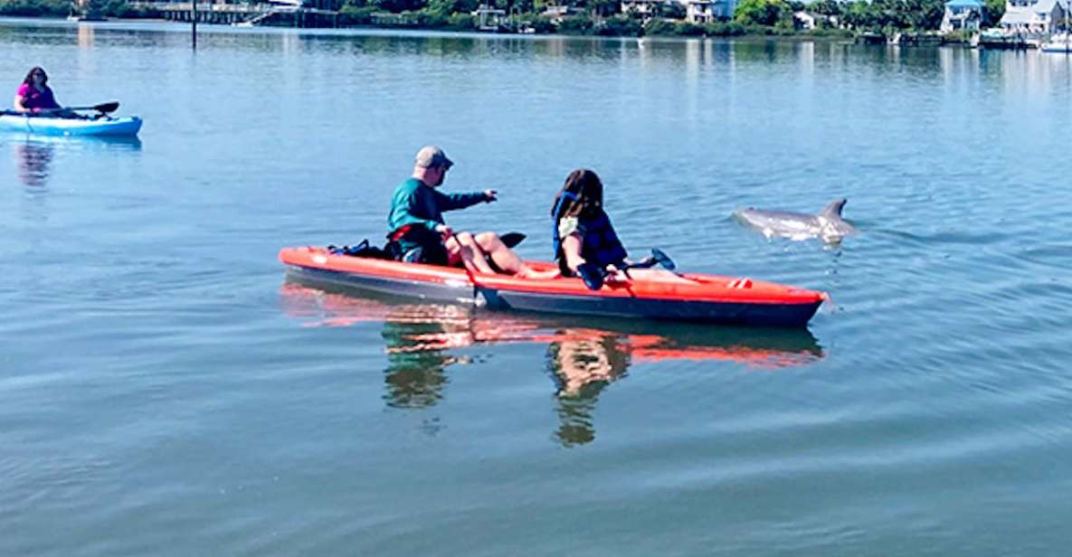 St. Augustine: Dolphin and Manatee Paddle or Kayak Tour - Itinerary