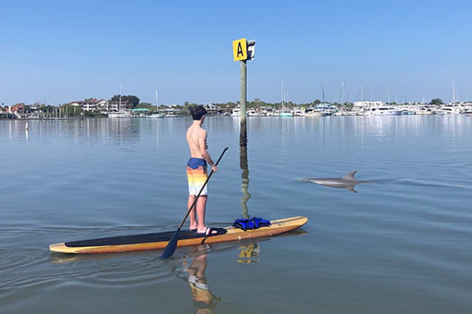 St. Augustine: Dolphin and Manatee Paddle or Kayak Tour - Free Cancellation