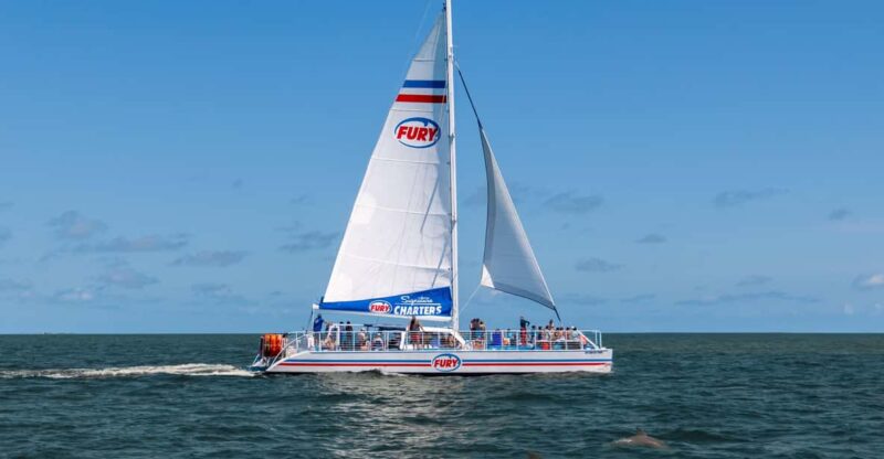 St.Augustine: Dolphin Watch & Historical Harbor Tour +Drinks - Key Points