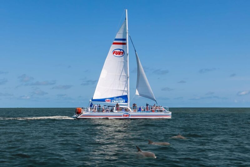 St. Augustine: Dolphin Watching Harbor Tour with Drinks - The Experience in Detail
