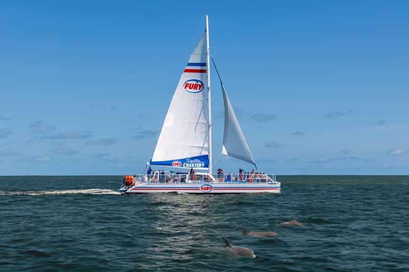 St. Augustine: Dolphin Watching Harbor Tour with Drinks - Pricing & Value