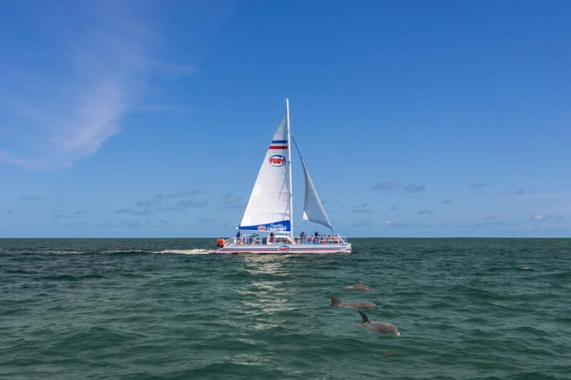 St. Augustine: Dolphin Watching Harbor Tour with Drinks - FAQs