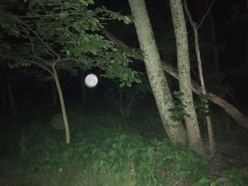 St. Augustine: Evening Paranormal Investigation Tour - Equipment and Techniques