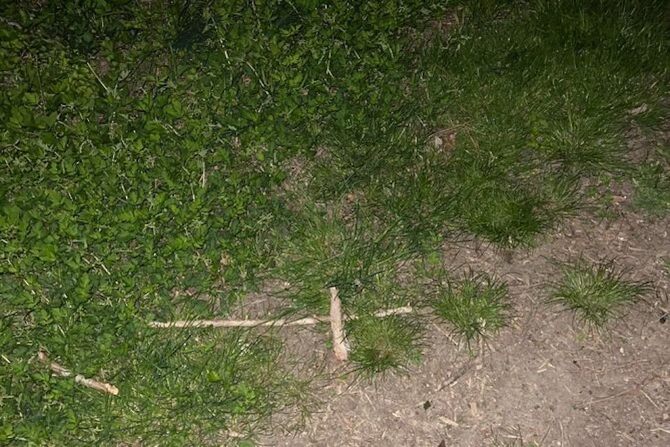 St. Augustine: Evening Paranormal Investigation Tour - Ghost Hunter Tricks