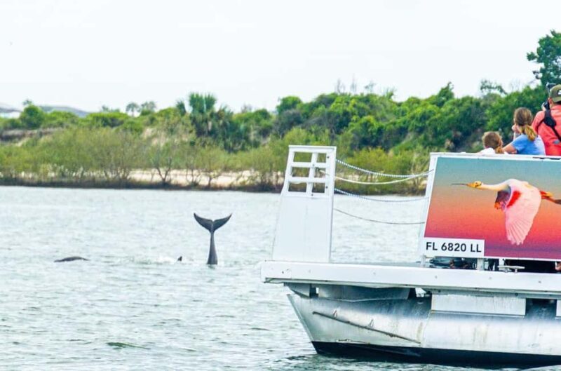 St. Augustine: Expert-Led Dolphin & Wildlife Eco Adventure - Authentic Experiences Highlighted by Reviews