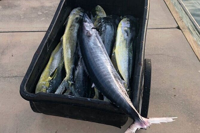 St. Augustine Fishing Charter Experience - An Honest Look at the Experience