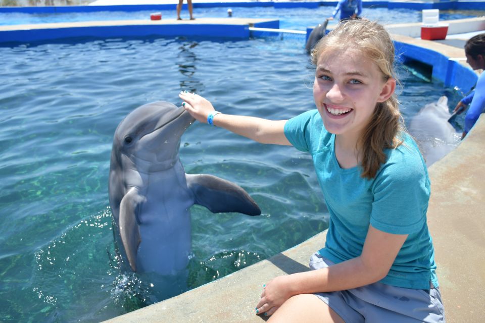 St. Augustine: Marineland Dolphin Meet & Greet - Key Points