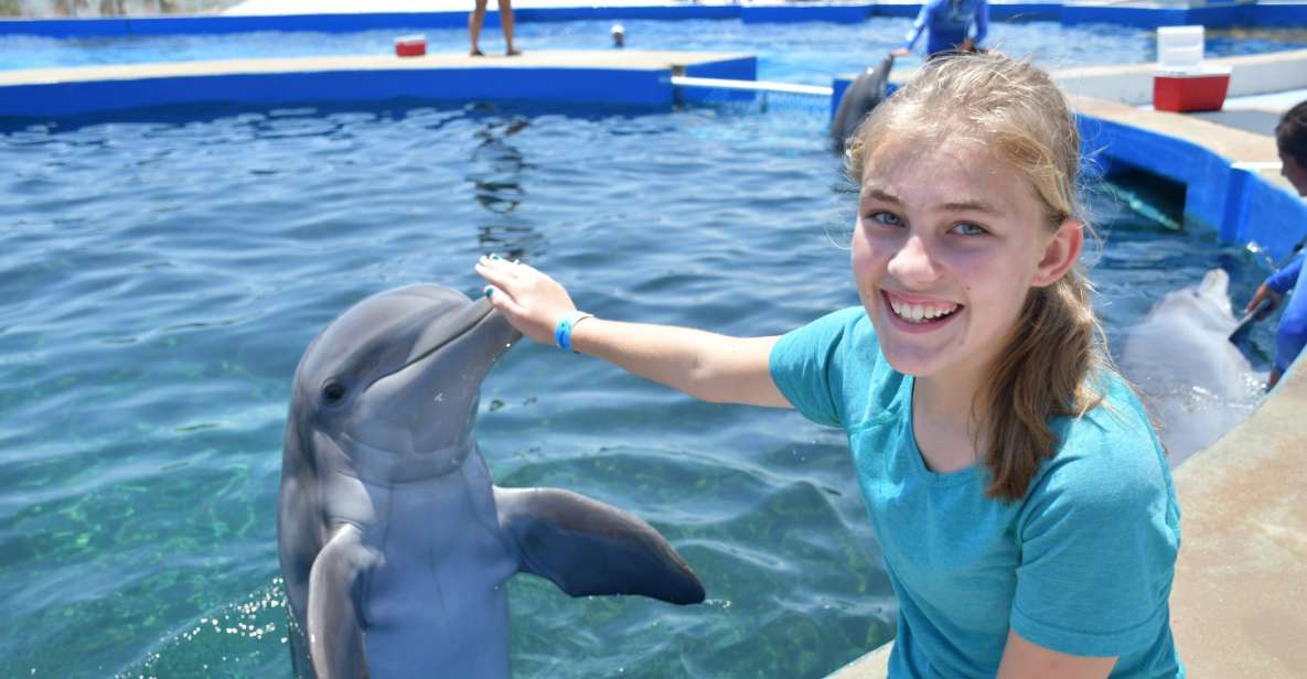 St. Augustine: Marineland Dolphin Meet & Greet - Ticket Information