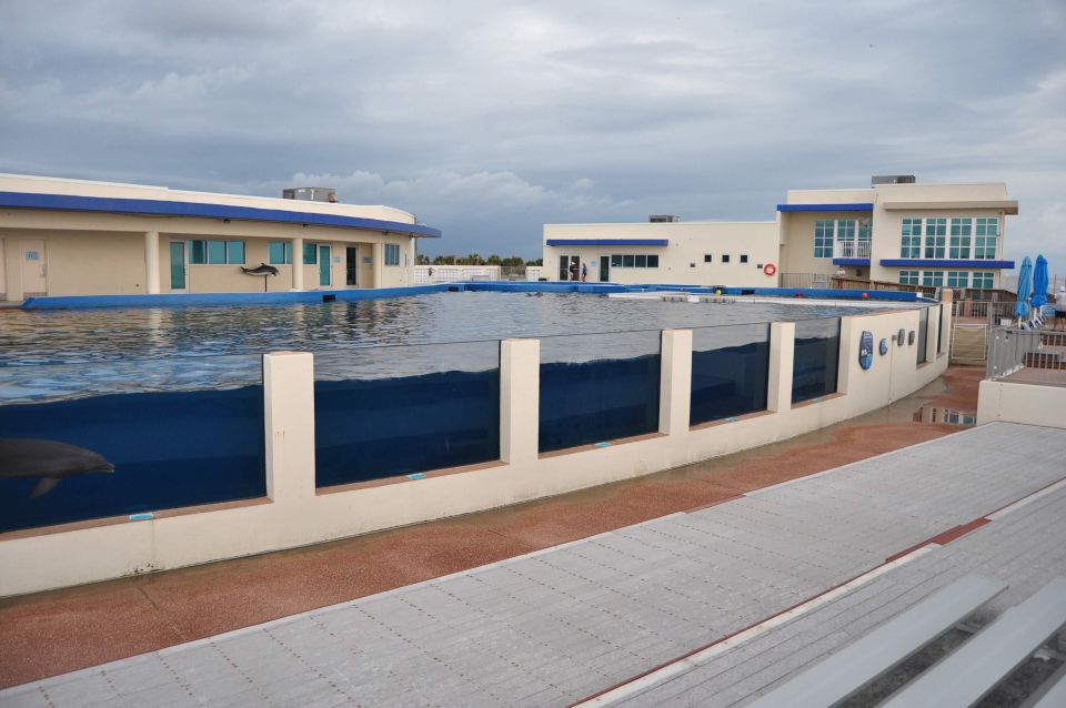 St. Augustine: Marineland Dolphin Meet & Greet - Inclusions