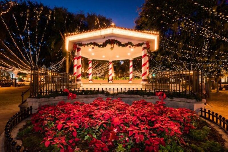 St Augustine: Nights of Lights Tour by Electric Cart - Authentic Traveler Feedback