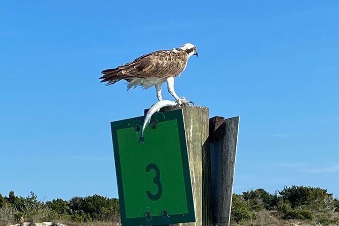 St Augustine Sunset Boat Tour - The Guides and Crew