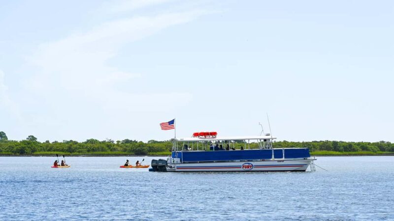St. Augustine Wildlife Adventure: Boat Cruise & Kayak Tour - Wildlife Encounters that Delight