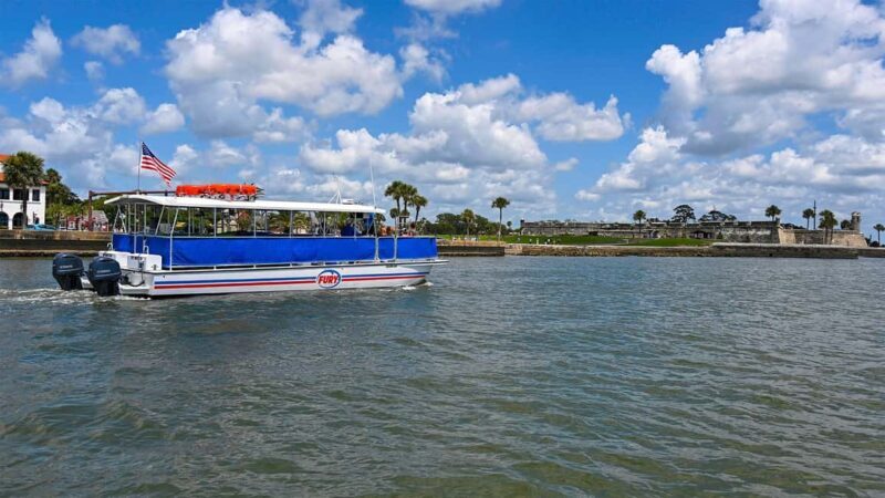St. Augustine Wildlife Adventure: Boat Cruise & Kayak Tour - What this Tour Means for Your Travel Experience