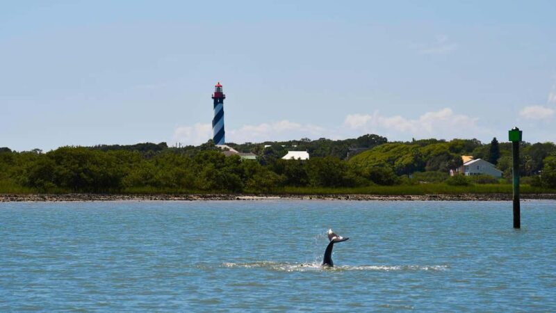 St. Augustine Wildlife Adventure: Boat Cruise & Kayak Tour - FAQ