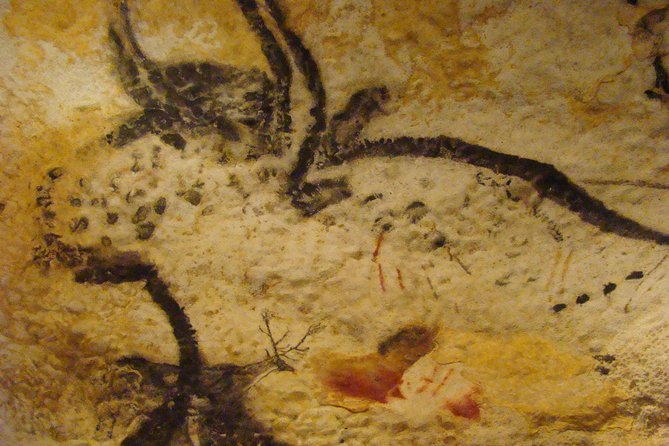 St Cirq Lapopie and Pech Merle Cavern Tour From Toulouse - Prehistoric Paintings at Pech Merle