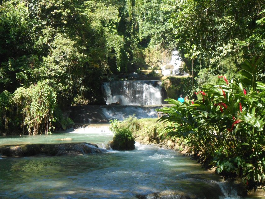 St Elizabeth: River Safari and Y.S. Falls With Lunch - Key Points