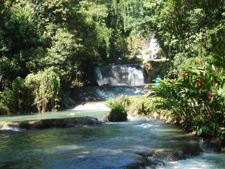 St Elizabeth: River Safari and Y.S. Falls With Lunch - River Safari Experience