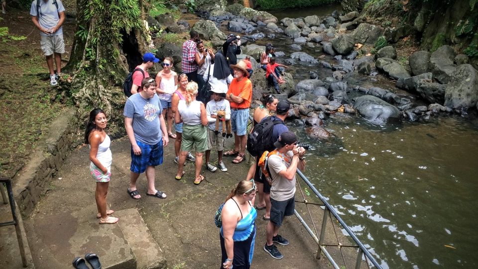 St. Georges: Annandale Waterfall Fort Fredrick & Beach Time - Exploring Grand Anse Beach