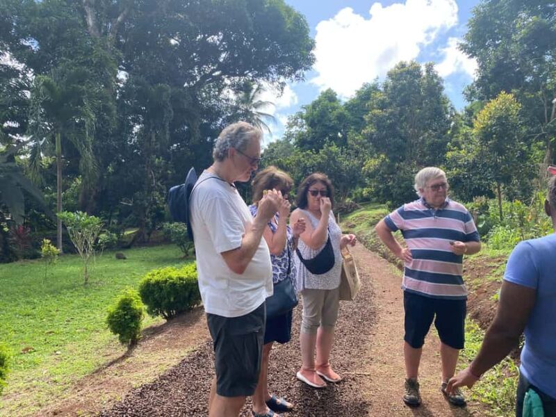 St. George's: Half-day spice and waterfall tour - The Itinerary in Detail