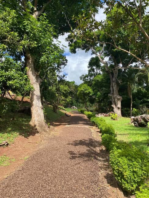 St. George's: Half-day spice and waterfall tour - Authenticity and Local Experience