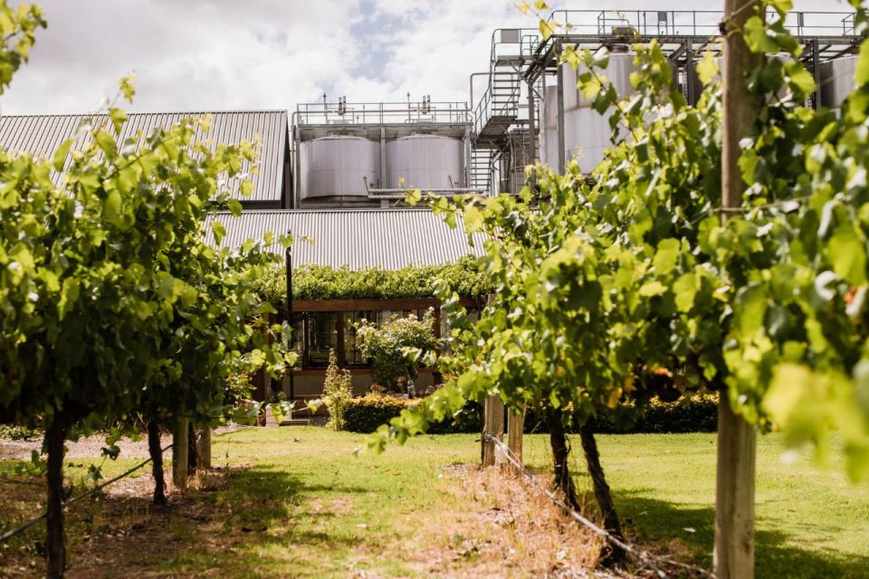 St Hallett: Cuvee Chocolate and Wine Indulgence Package - Reservation Process