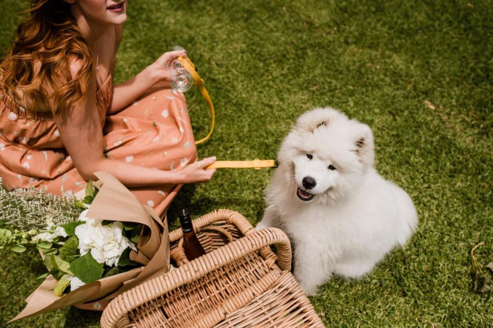 St Hallett: Picnic Boards - Accessibility and Group Type