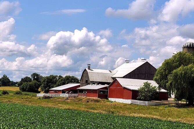 St. Jacobs Market & Mennonite Countryside Tour - Who Will Appreciate This Tour?