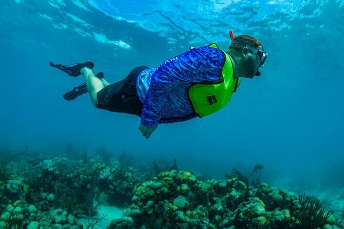 St. James Snorkel & Pizza Pi Lunch - Key Points