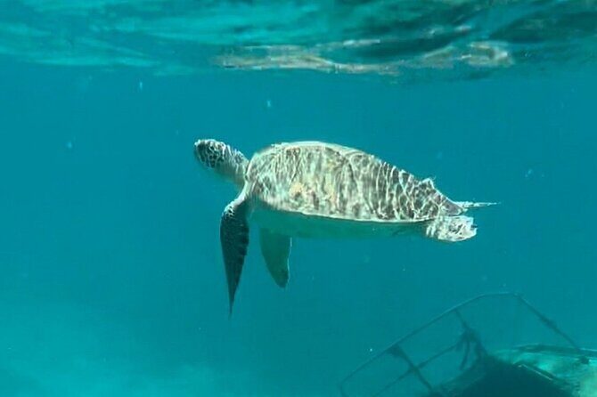 St John -Jeep Ride with A Guide! Customize Itinerary Your Way! - Final Thoughts: Who Would Love This Tour?